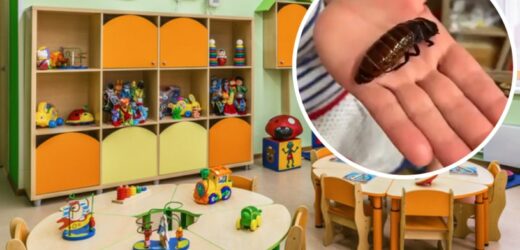 Dzieci w przedszkolu zjadły robaki. W sieci wybuchła burza