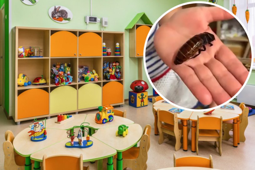 Dzieci w przedszkolu zjadły robaki. W sieci wybuchła burza
