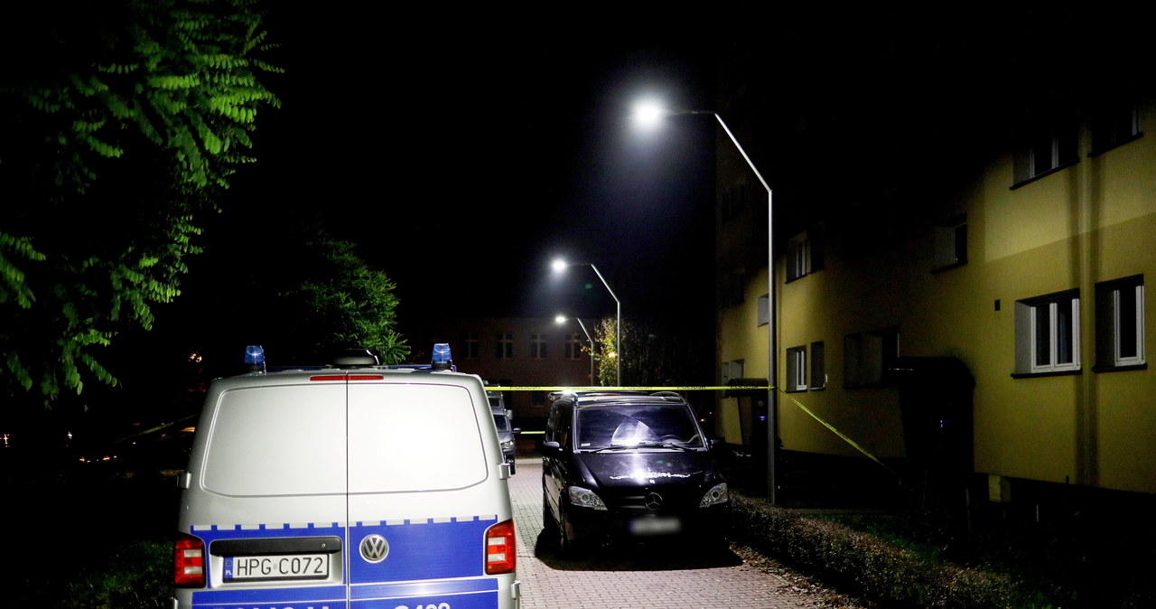 Zabójstwo i uprowadzenie. Wniosek o obserwację psychiatryczną Norwega