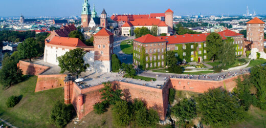 Nowy lokator Smoczej Jamy pod Wawelem. Wodził za nos strażników zamku
