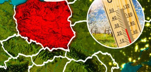 Pierwsza prognoza pogody na wakacje. „Lato może być upalne”
