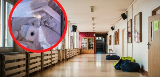 Kamera w damskiej toalecie w liceum w Legnicy, czy żart, który zaszedł za daleko?