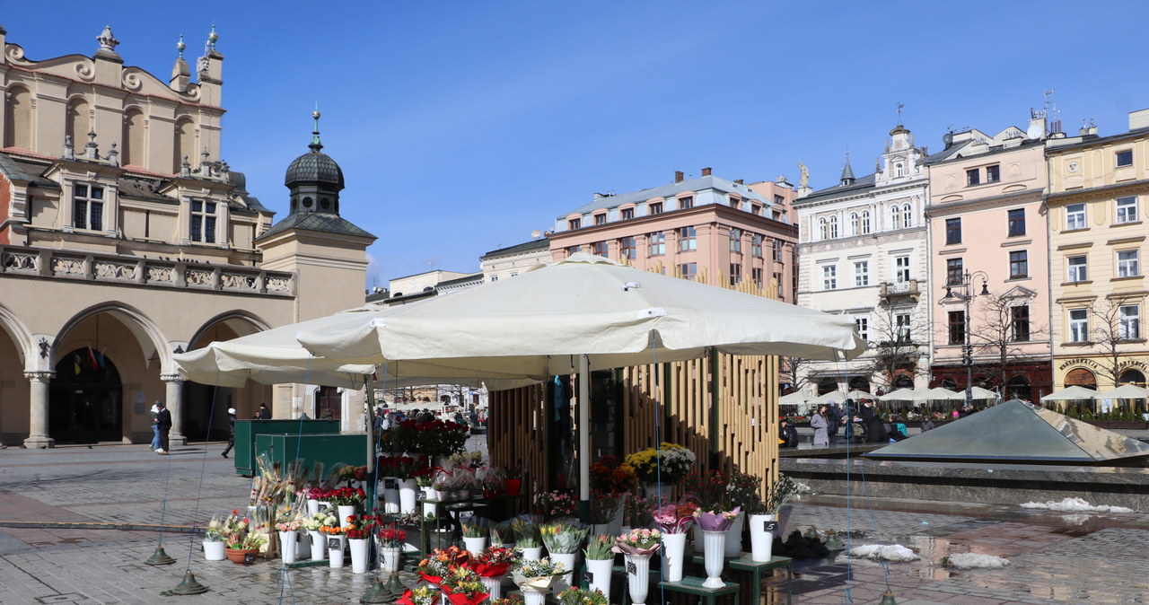 Testy stoisk dla kwiaciarek do końca marca