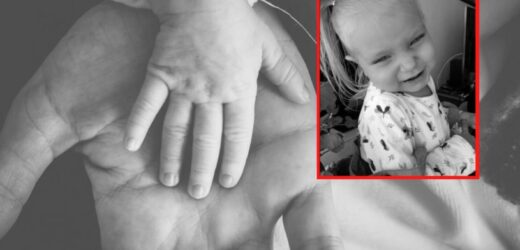 Trzyletnia Nadia nie żyje. „Odpoczywaj Aniołku tam na górze”