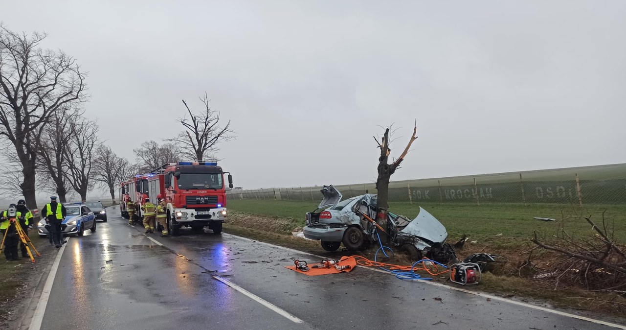 Tragiczny wypadek na drodze. Auto owinięte wokół drzewa