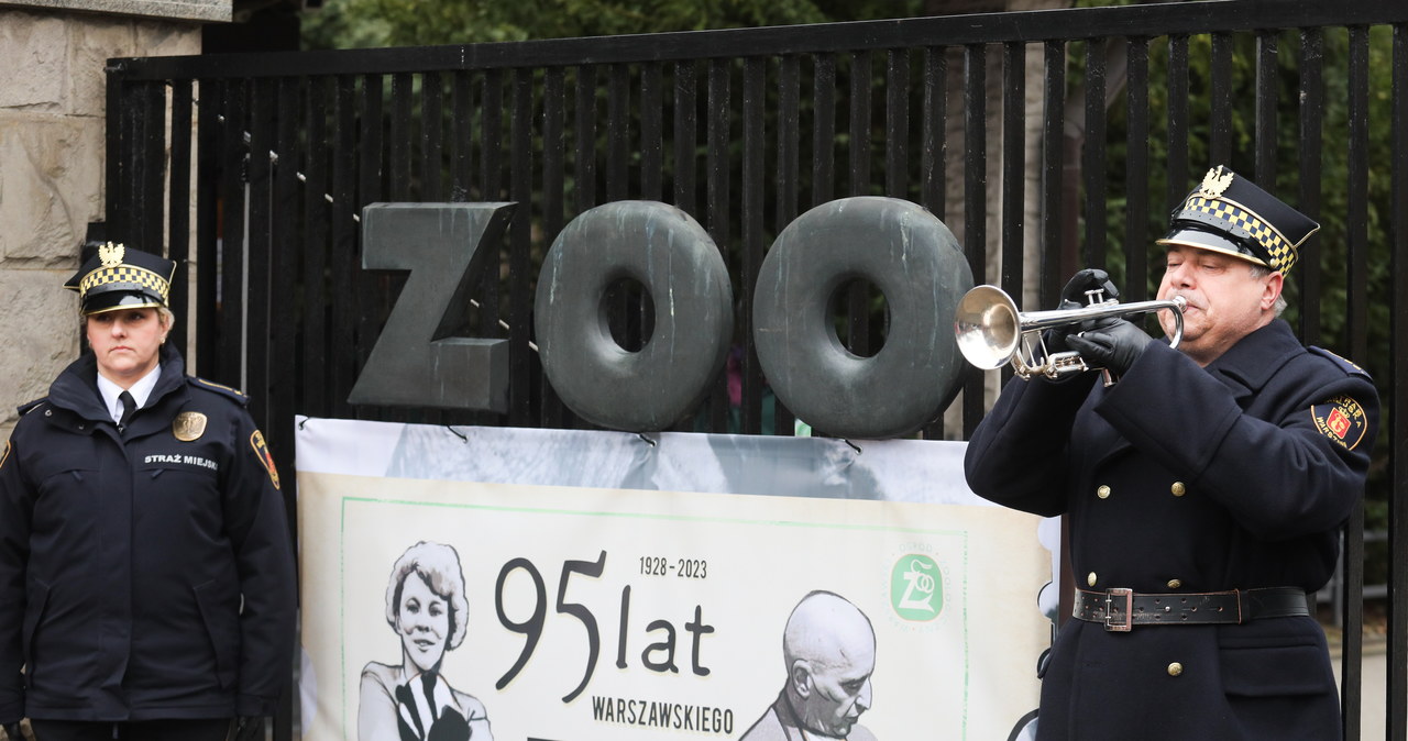 Warszawskie zoo ma już 95 lat. Żyje w nim ponad 13 tys. zwierząt
