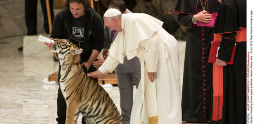 Papież Franciszek I: Przez dziesięć lat zerwał z niejedną tysiącletnią tradycją