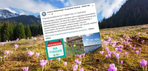 Kiedy możemy spodziewać się wiosny? Synoptycy podali konkretne daty