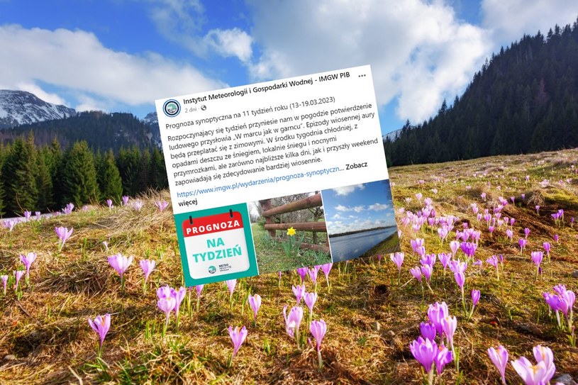 Kiedy możemy spodziewać się wiosny? Synoptycy podali konkretne daty