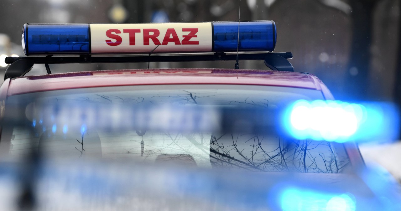 Wjechał autem w drzewo. Kierowca spłonął w aucie