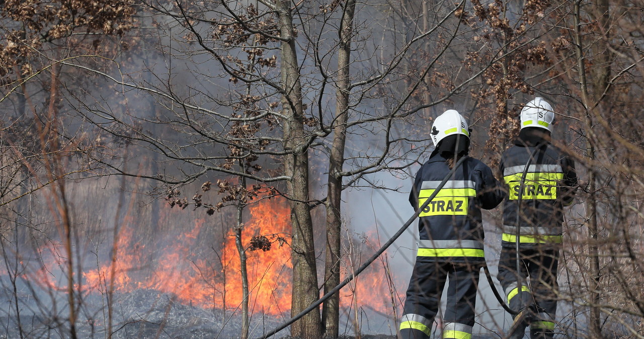 Warmińsko-mazurskie. Gwałtowny wzrost pożarów suchych traw