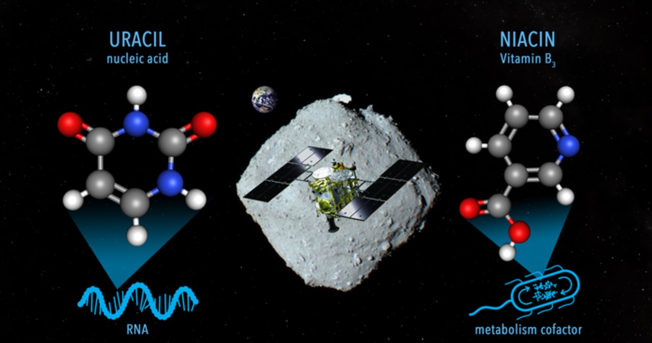 Organiczne znaleziska na planetoidzie Ryugu
