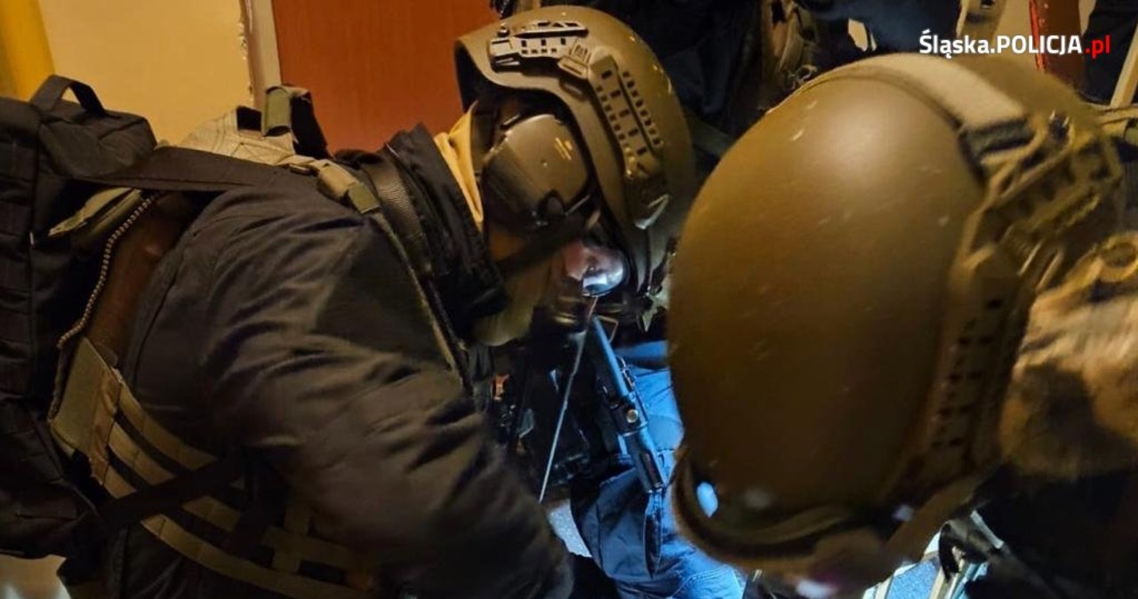 Pseudokibice ze Śląska zatrzymani. Usłyszeli zarzuty