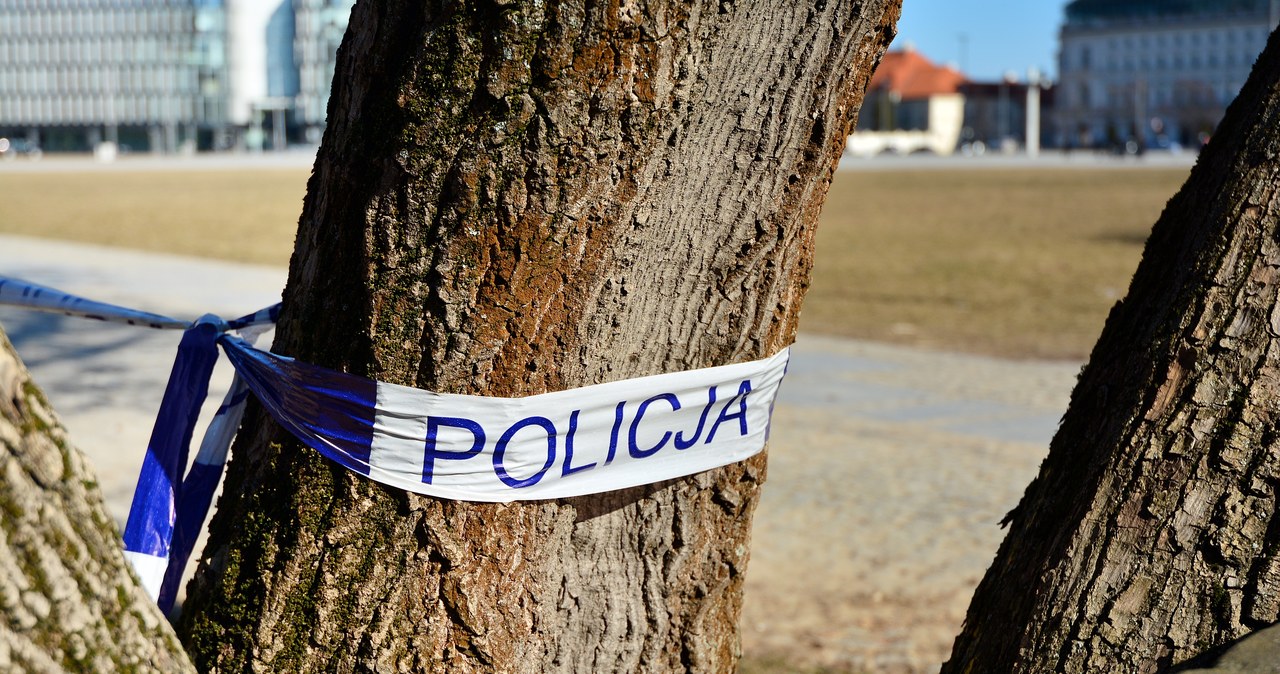 Tragedia podczas wycinki drzew. Zginął 67-letni mężczyzna