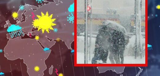 Gwałtowne uderzenie zimy. Siedem regionów zagrożonych, IMGW wydało alerty. Prognoza pogody na najbliższe dni