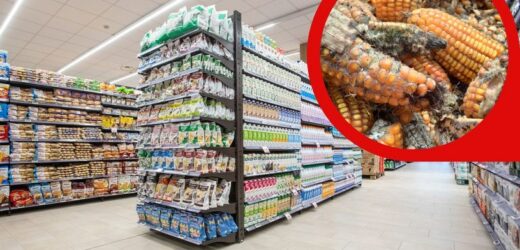 Wysokie stężenie aflatoksyn w znanym produkcie. GIS bije na alarm