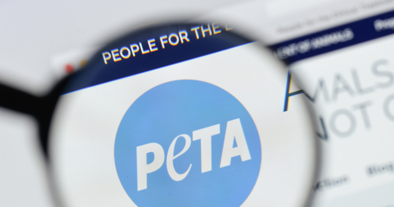 PETA domaga się rezygnacji z wykorzystywania żywych zwierząt w hollywoodzkich produkcjach
