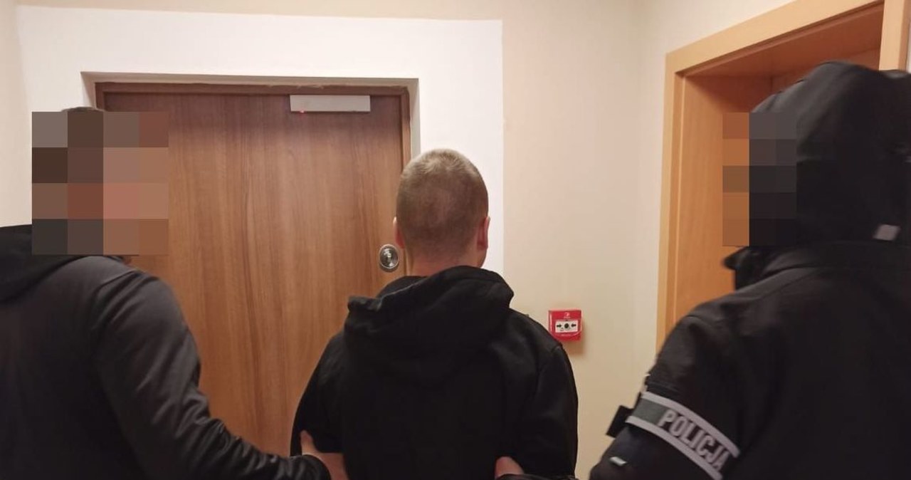 Kryjówkę poszukiwanego zdradził kot