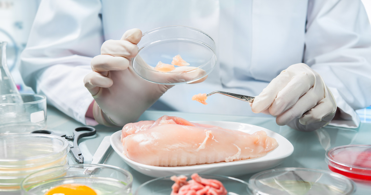 Włochy: Koniec z żywnością produkowaną w laboratoriach?
