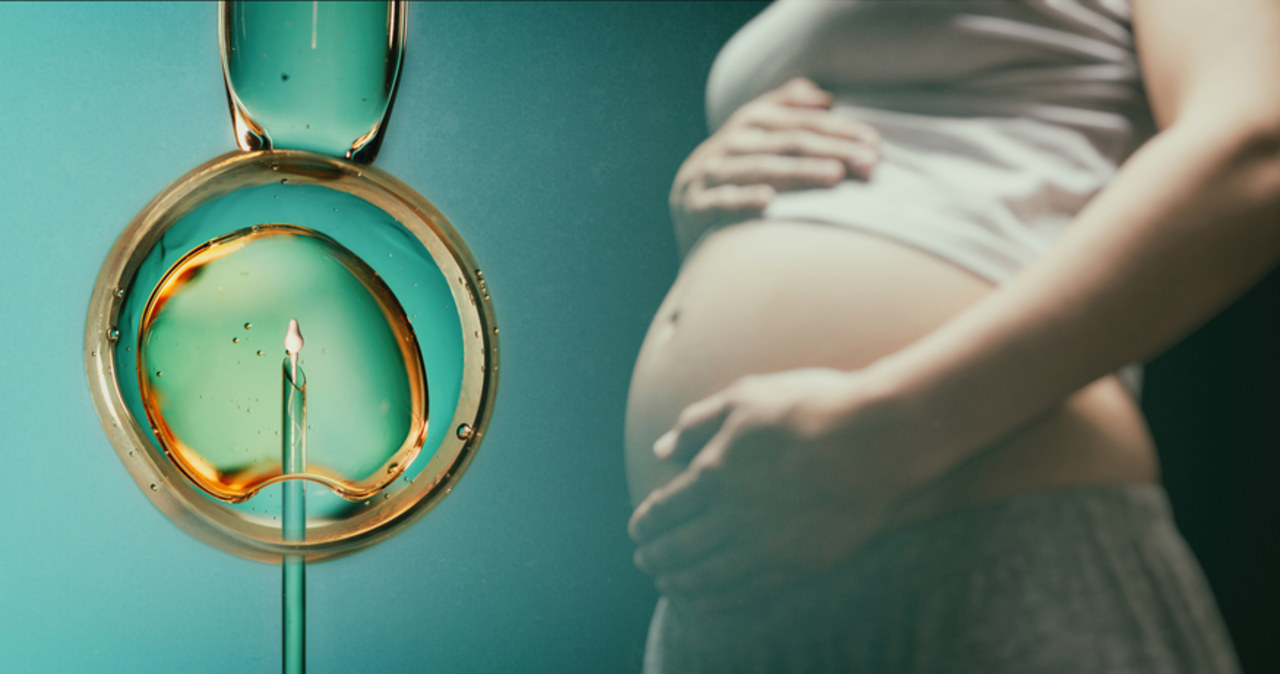 Program in vitro pomoże parom z Olsztyna