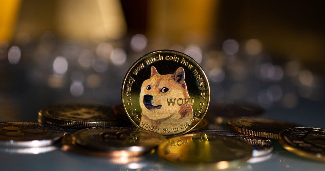 Musk zmienił logo Twittera. Akcje Dogecoin poszybowały