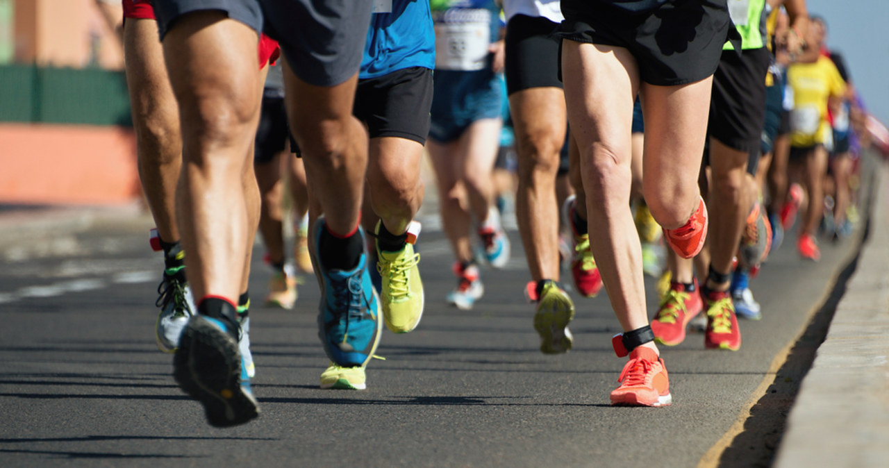 Poland Business Run 2023. Informacje o zapisach