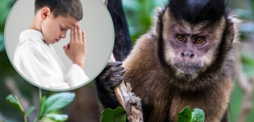 Groźna komunijna moda przybiera na sile. O co tym razem proszą dzieci?