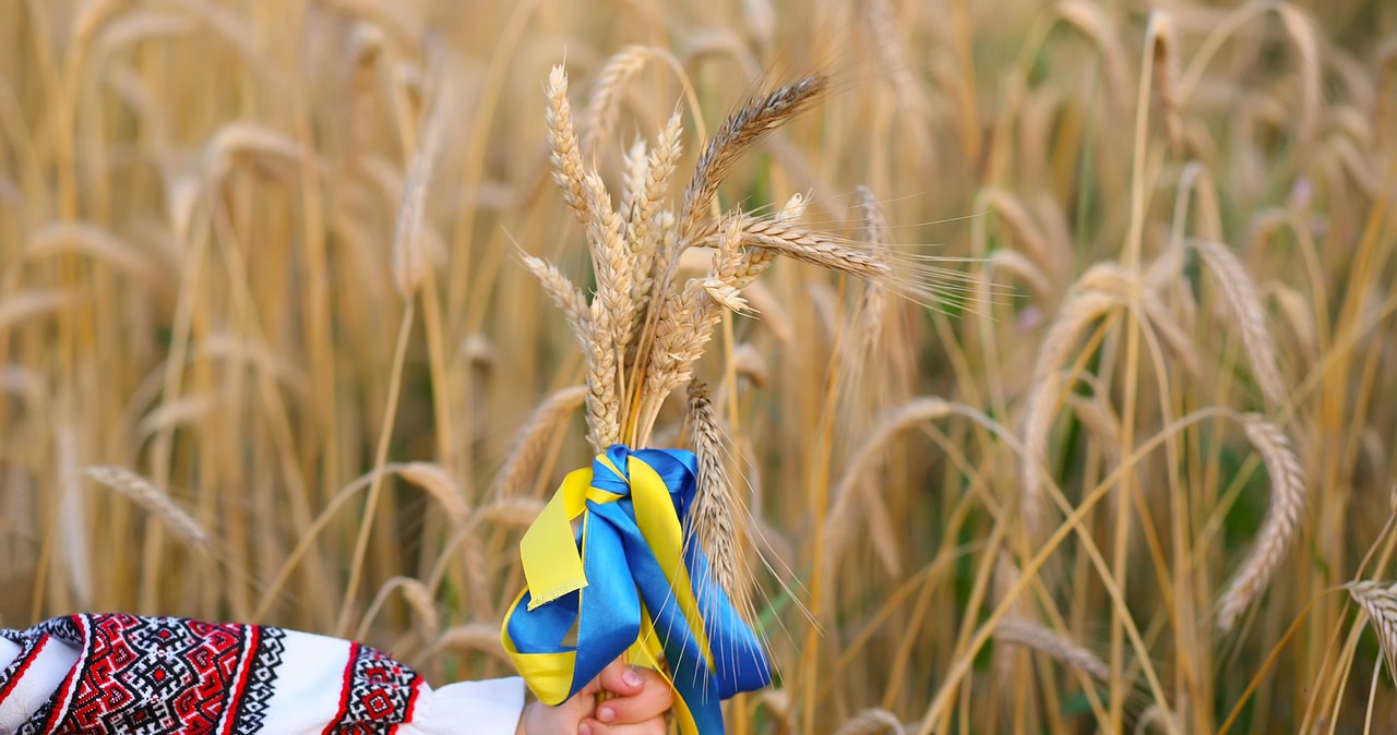 Węgry zakazały tymczasowo import produktów rolnych z Ukrainy