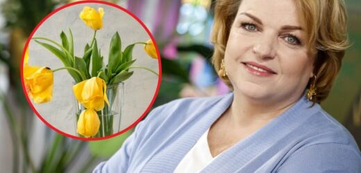 Dodaj do wody, a kwiaty odżyją. 4 triki Katarzyny Bosackiej na cięte tulipany