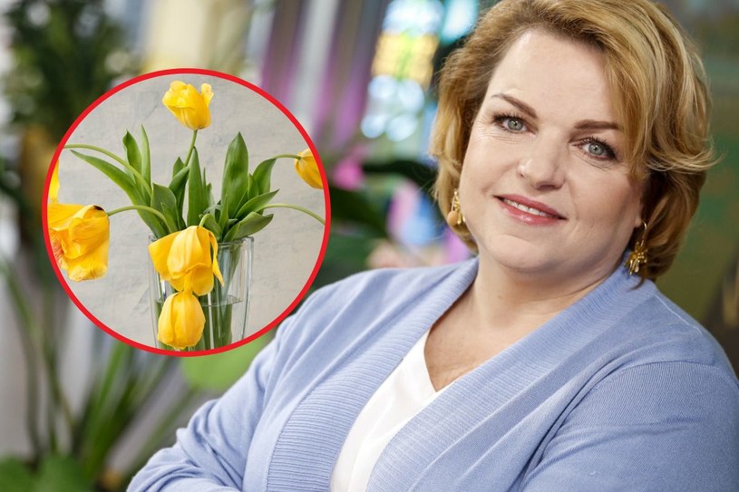 Dodaj do wody, a kwiaty odżyją. 4 triki Katarzyny Bosackiej na cięte tulipany
