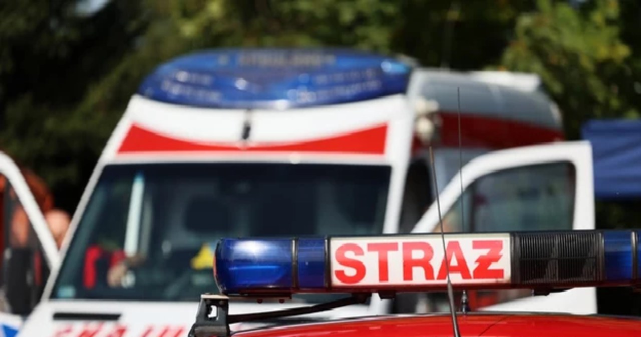 Śmierć trzech mężczyzn i psa. Jednak zabił ich czad