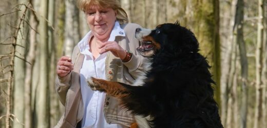 Myślisz, że twój pies kocha te czynności? Możesz się bardzo mylić