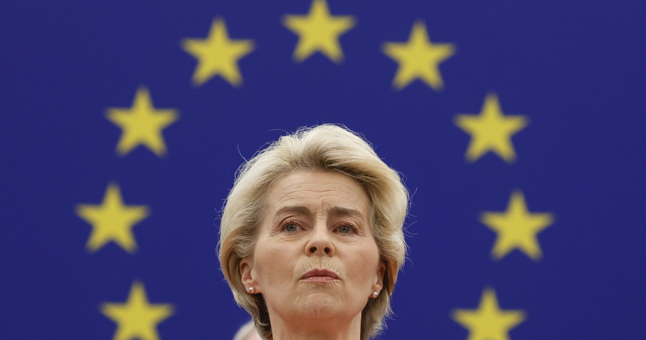 Import z Ukrainy. Planowana wideokonferencja szefowej KE z premierami pięciu krajów