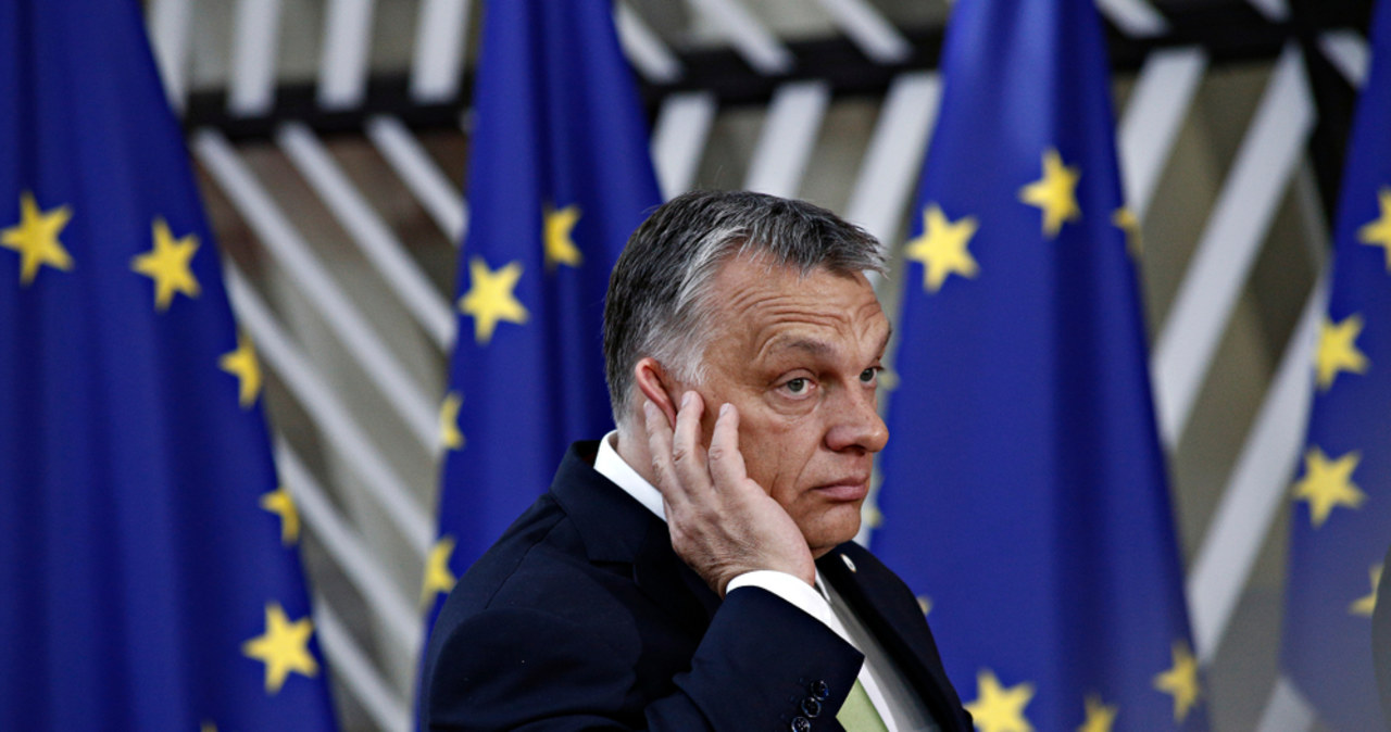 „Co?!”. Zadziwiająca reakcja Orbana na słowa szefa NATO