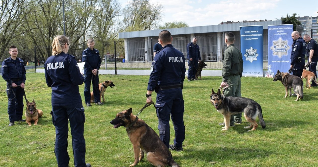 Po latach służby psi funkcjonariusze przeszli na emeryturę