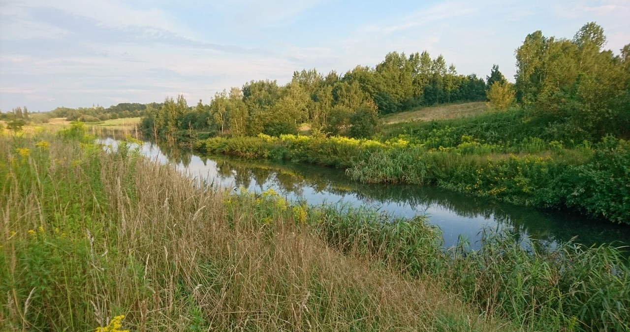 Ruda Śląska: W dolinie Kochłówki ustanowiono użytek ekologiczny