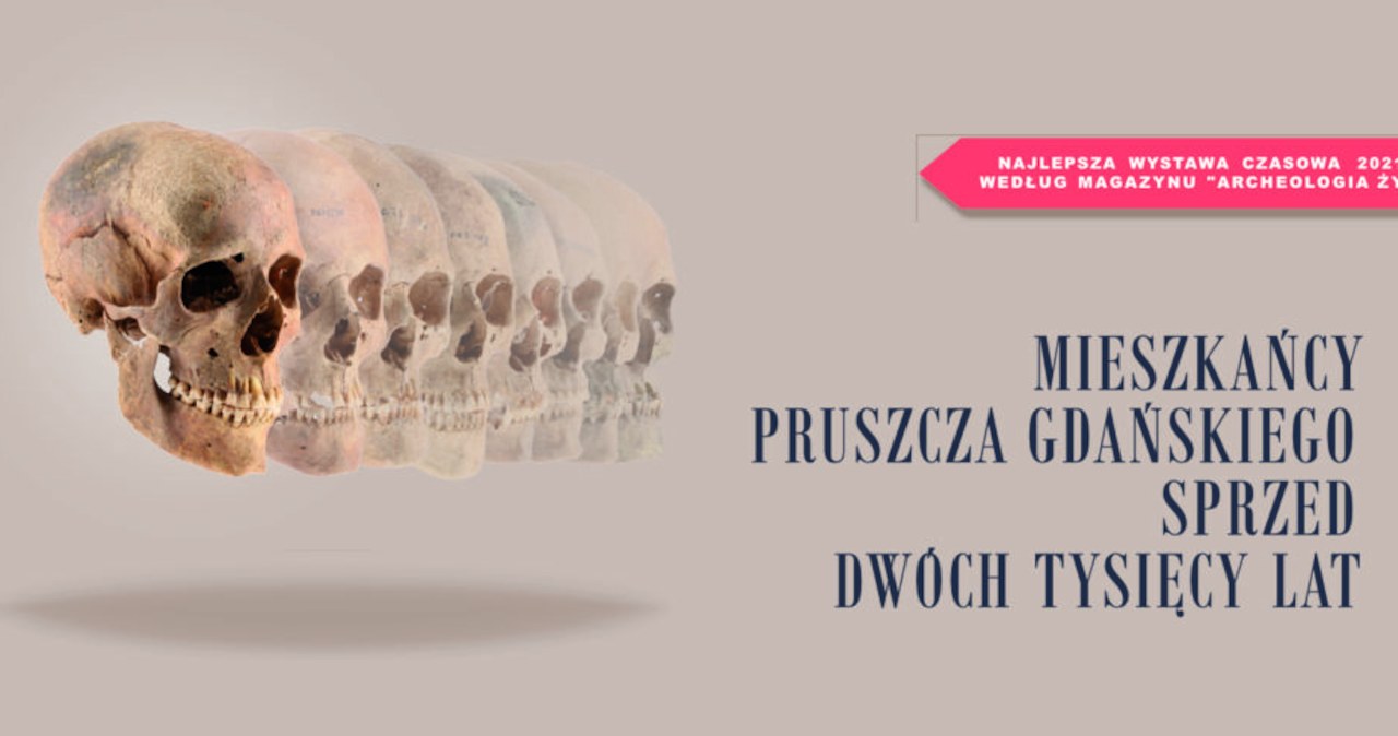 Od wtorku w elbląskim muzeum będzie nowa wystawa archeologiczna