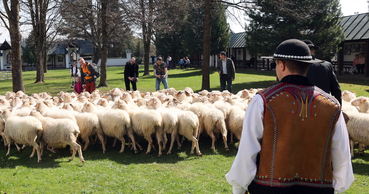 W Ludźmierzu na Podhalu uroczyście zainaugurowano sezon pasterski