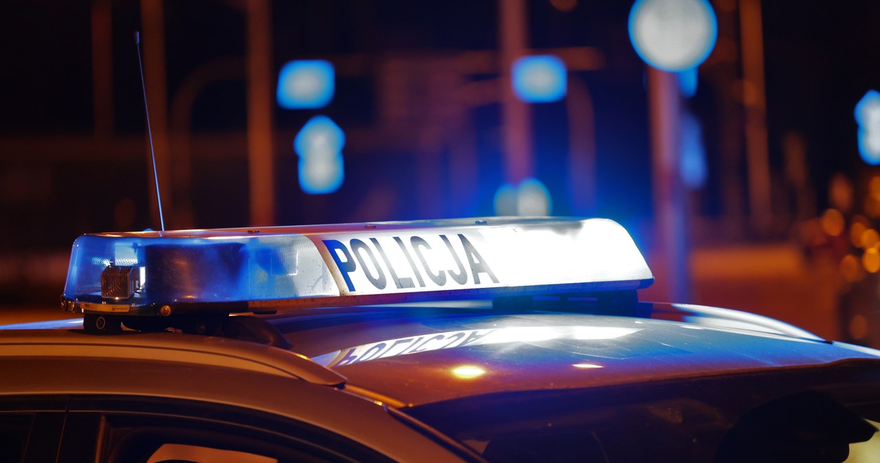 Znaleziono kości w miejscu robót budowlanych w Toruniu