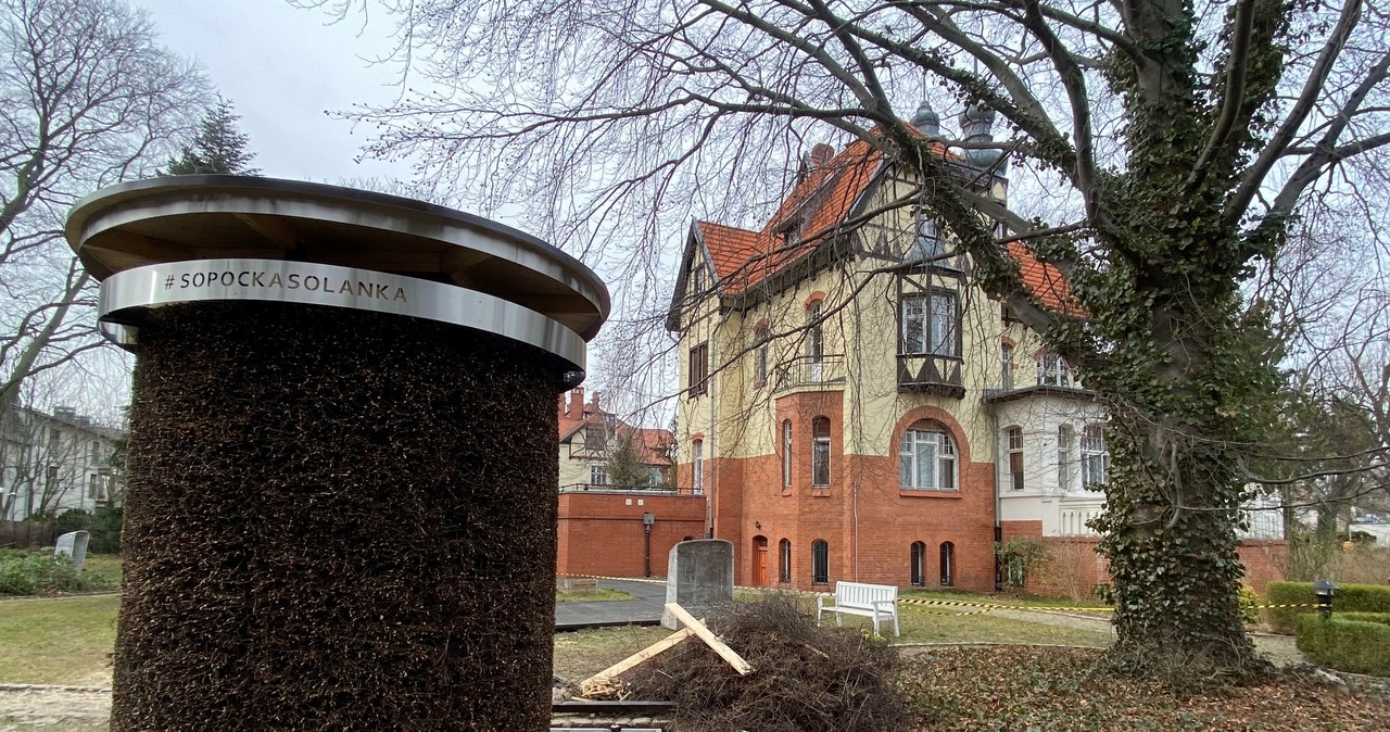 Nowe prozdrowotne atrakcje w Sopocie