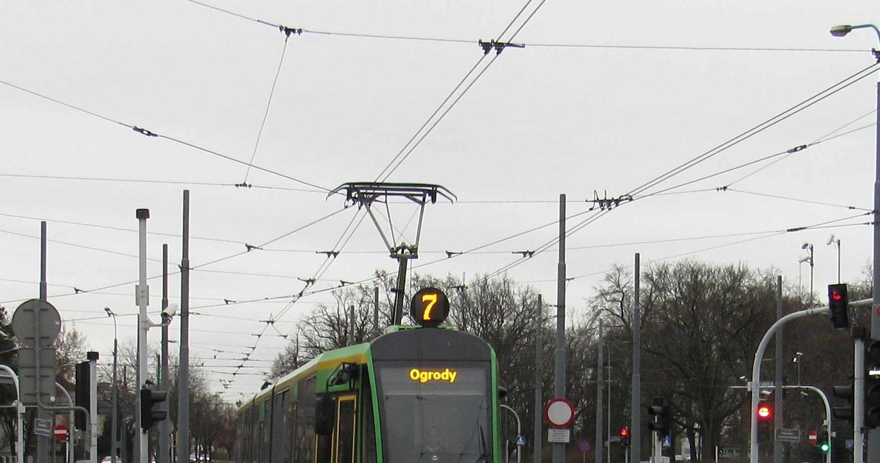 13 maja tramwaje wrócą do centrum Poznania. Tramwaje pojadą też trasą PST