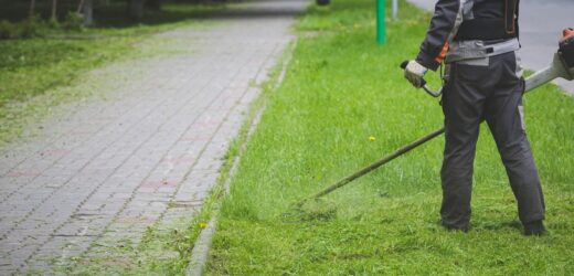 Od kiedy można kosić trawę? Eksperci podają konkretną datę