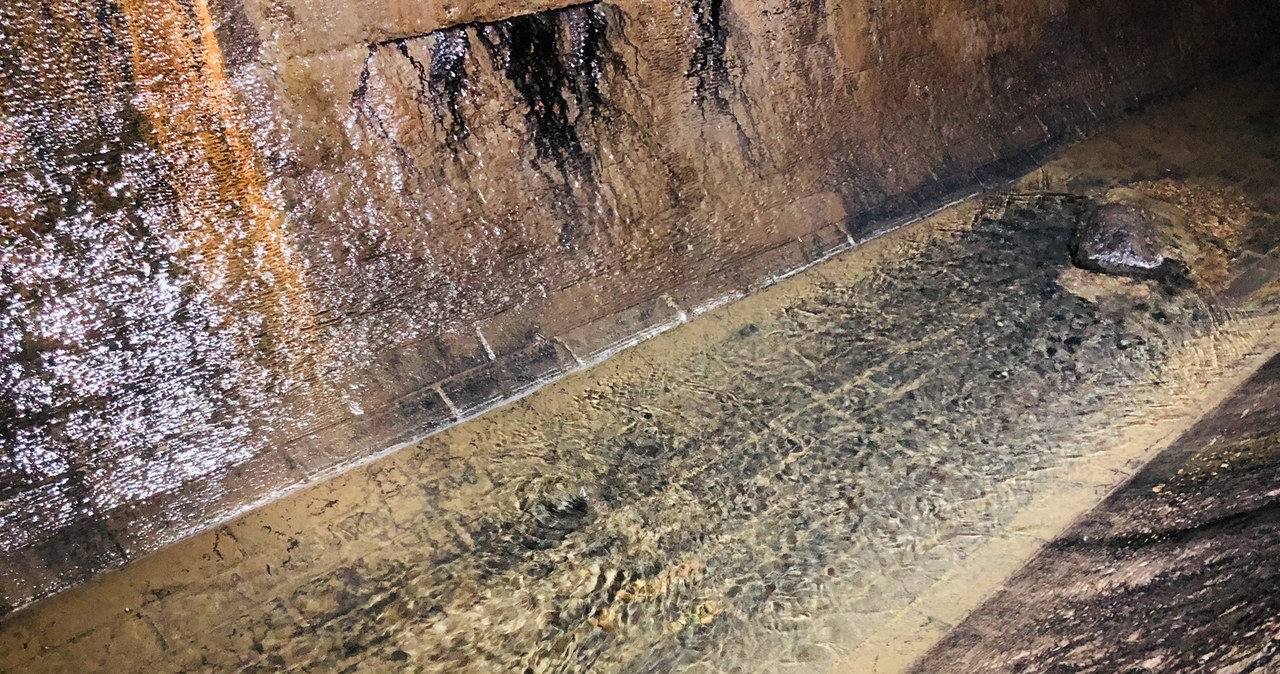 Łódka. Rzeka, nad którą 600 lat temu powstała Łódź [FILM]