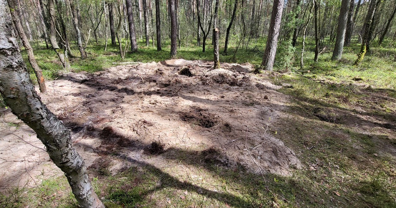 Szczątki obiektu wojskowego pod Bydgoszczą. Jest komentarz wojska