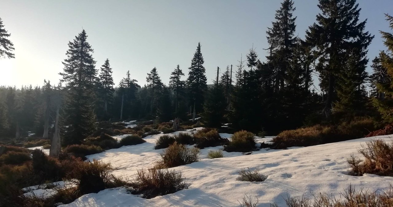 Majówka w Karkonoszach. „Pogoda poprawi się na dwa dni”