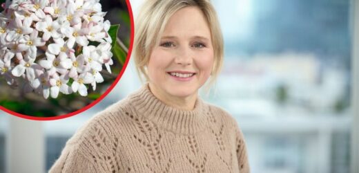 Maja Popielarska nie wyobraża sobie ogrodu bez tej rośliny. „Szaleję na punkcie jej zapachu”