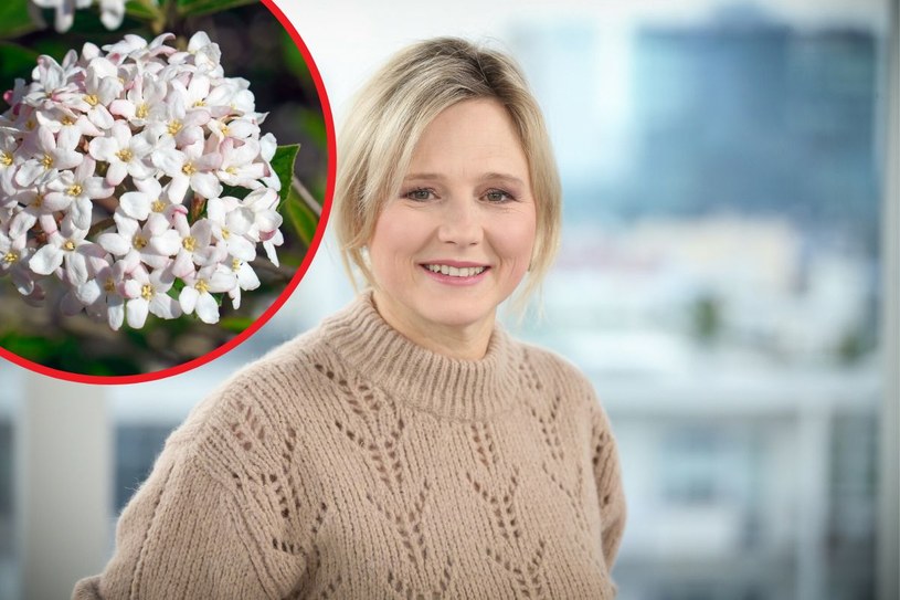 Maja Popielarska nie wyobraża sobie ogrodu bez tej rośliny. „Szaleję na punkcie jej zapachu”