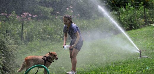 Nadchodzą upalne dni. Termometry wskażą wysokie temperatury