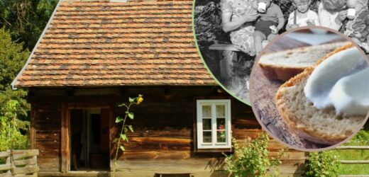 QUIZ: Spędzałeś wakacje na wsi? Spróbuj rozwiązać ten quiz! Komplet punktów to sukces