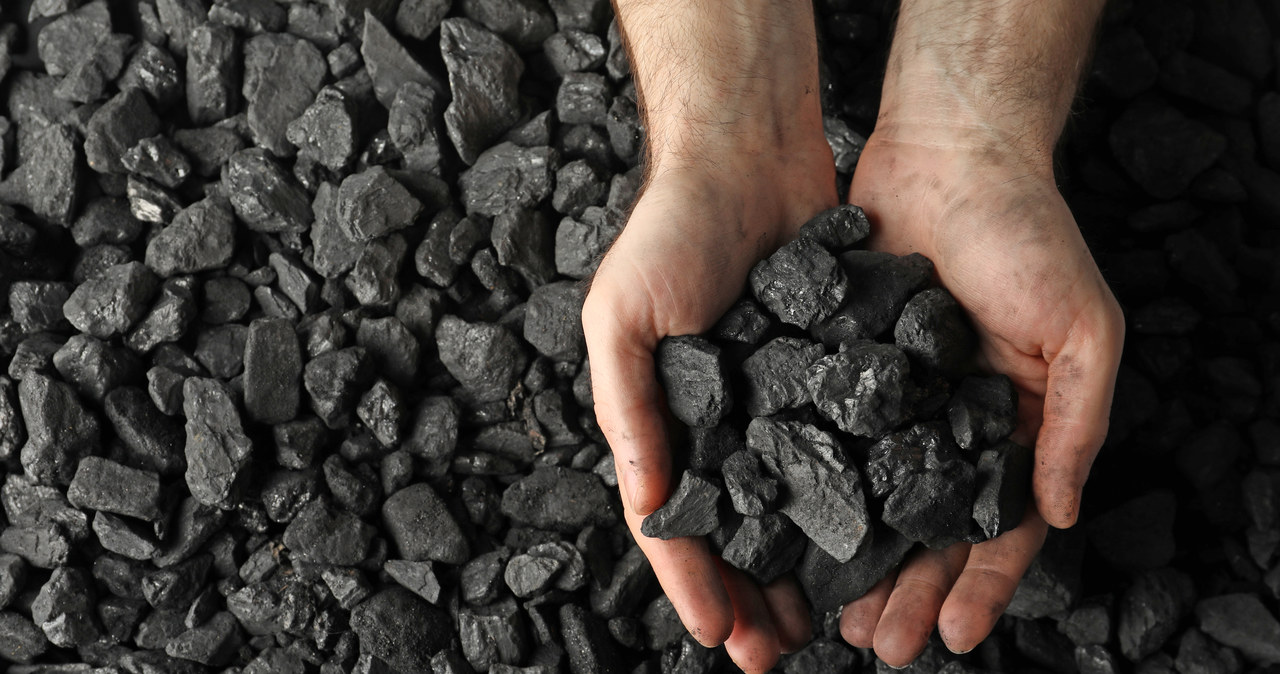 Promocyjna sprzedaż węgla w PGG